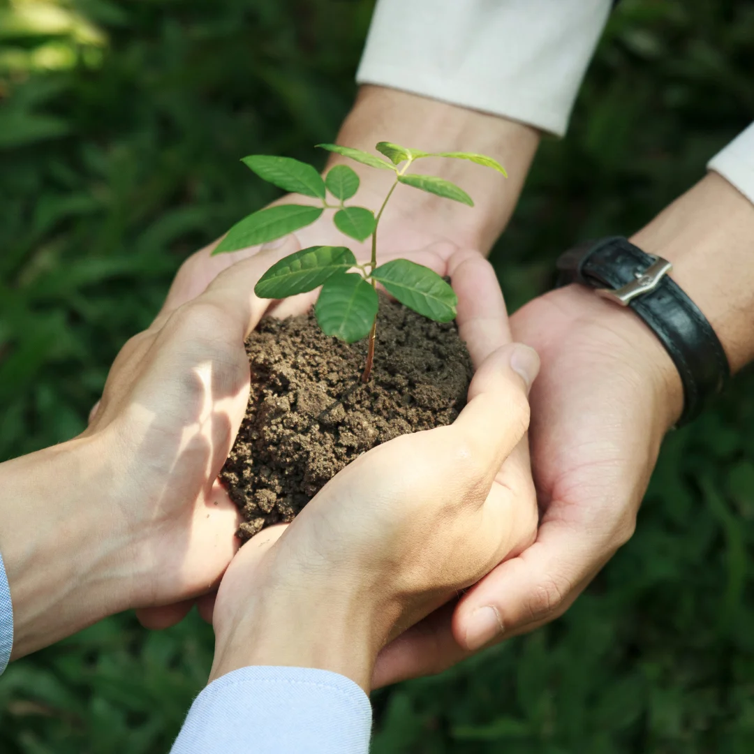 People Care México – Empresa Socialmente Responsable y sustentable Manos sosteniendo tierra con planta verde – compromiso de People Care con la responsabilidad social y ambiental